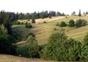 ПРОДАМ ЗЕМЕЛЬНЫЙ УЧАСТОК В КАРПАТАХ — МЫКУЛЫЧИН, 120 СОТОК