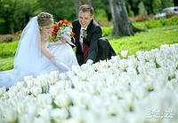 свадебный фотограф алматы фото свадебное свадьба фотокнига лавстори love story слайдшоу букет платье лимузин торт жених невеста казахстан
