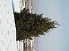 Благоустройство, вывоз мусора