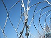 Егоза-Аллигатолюбых типоразмеров и исполнений и только из оцинкованных материалов.